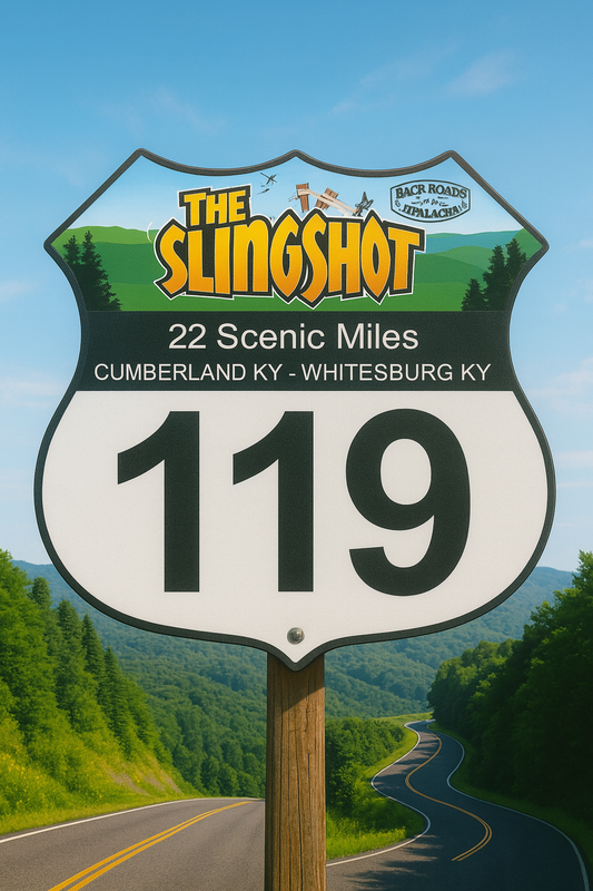 Slingshot Metal Shields